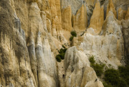 New Zealand 2025 (2 group) (18/84)